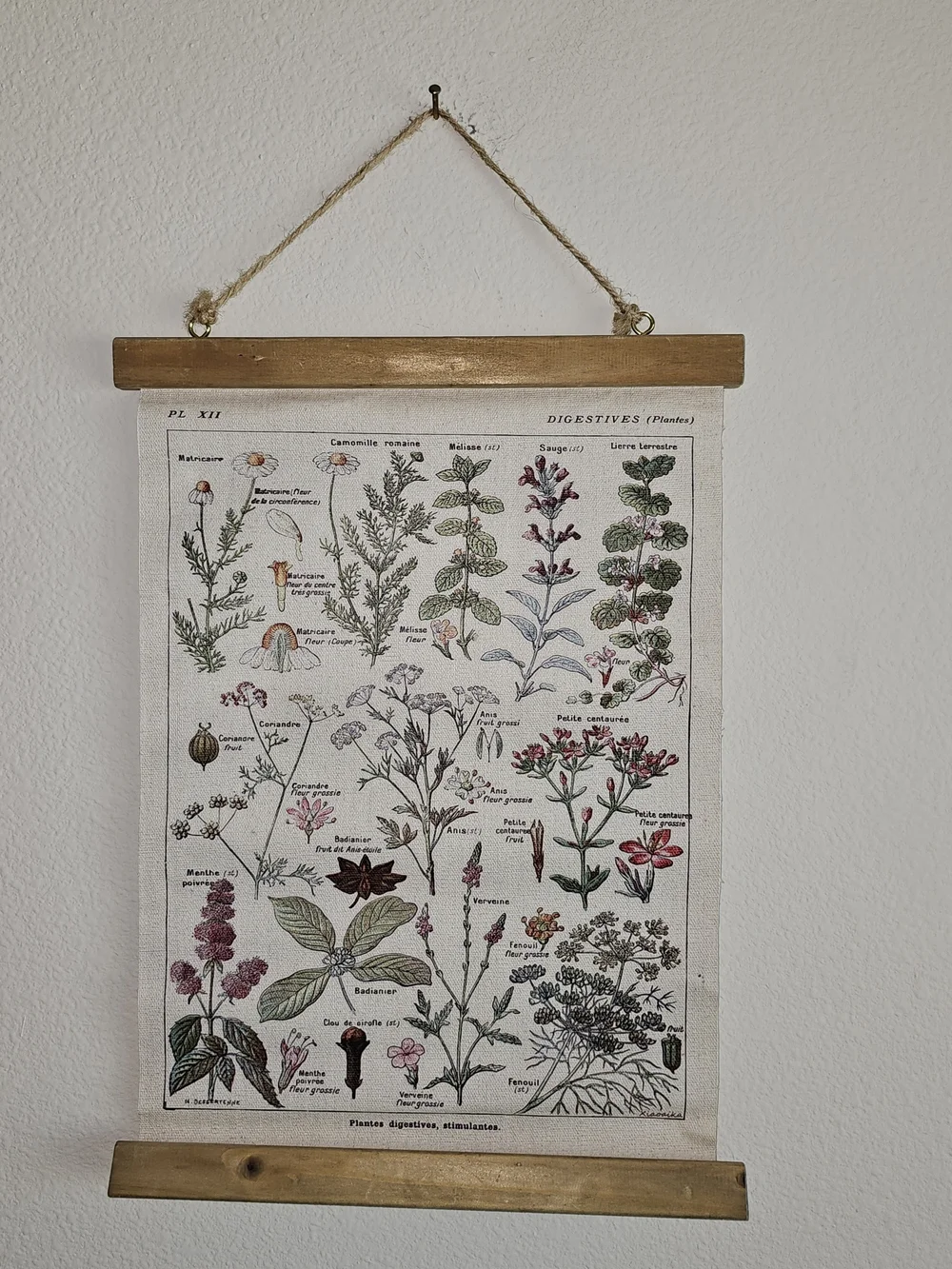 NWOT Botanical Herb Chart Wall Hanging - Beige & Green